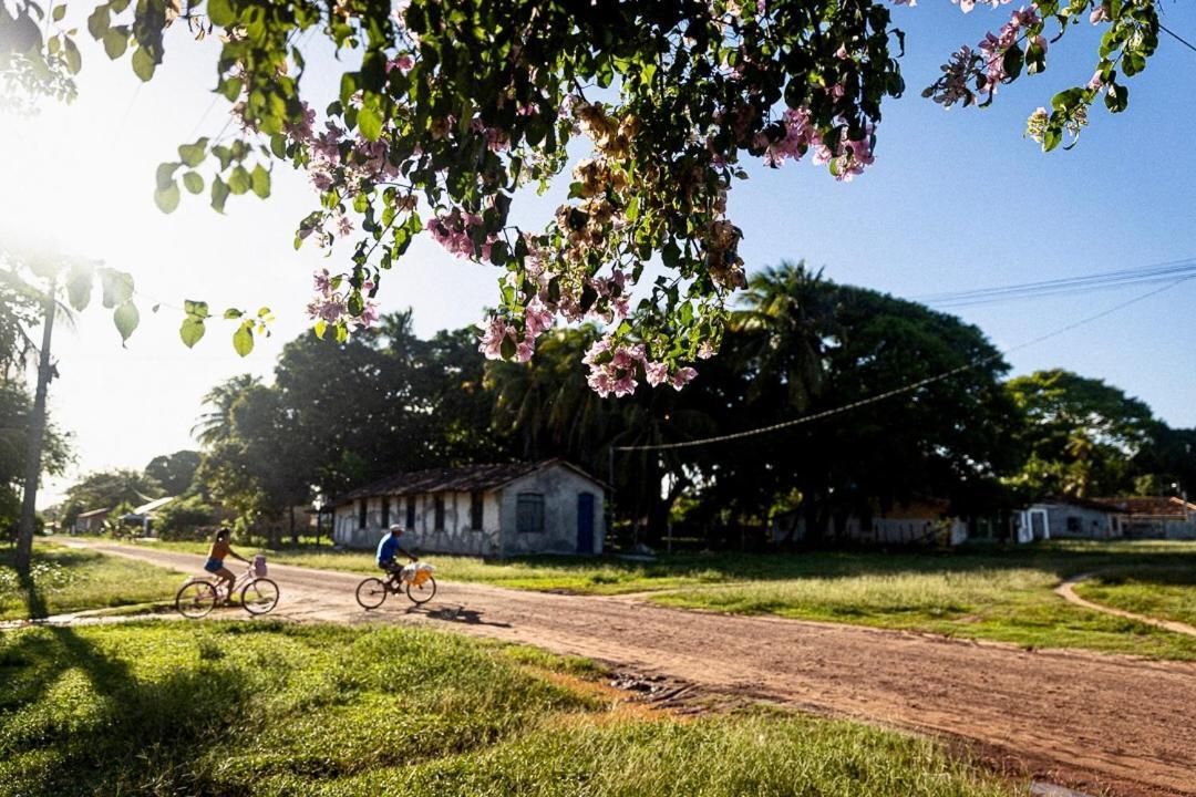 Pousada O Canto Do Frances Soure Exterior photo